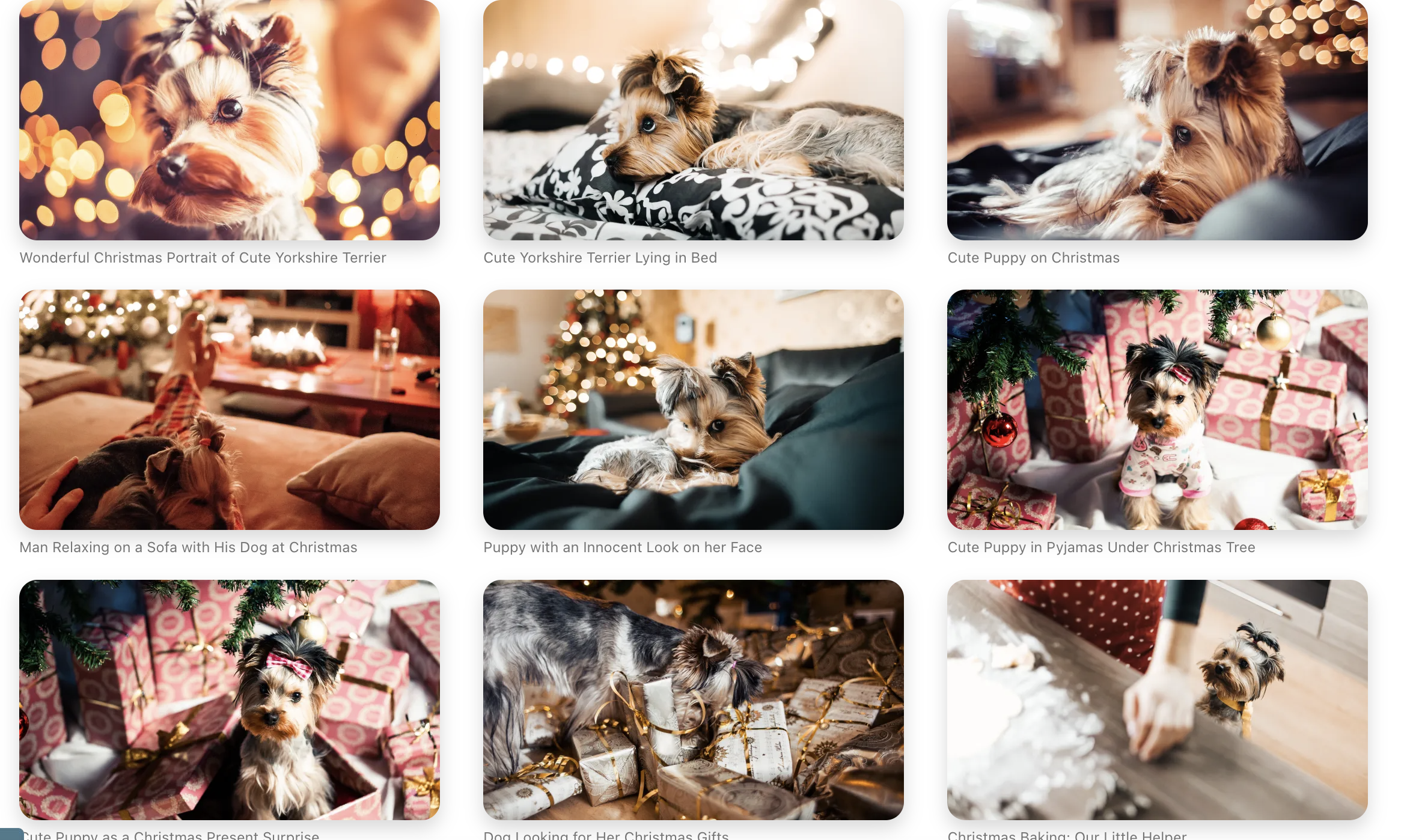 저작권없는 상업용 이미지 사이트 8개 추천 | 오즈의 제작소