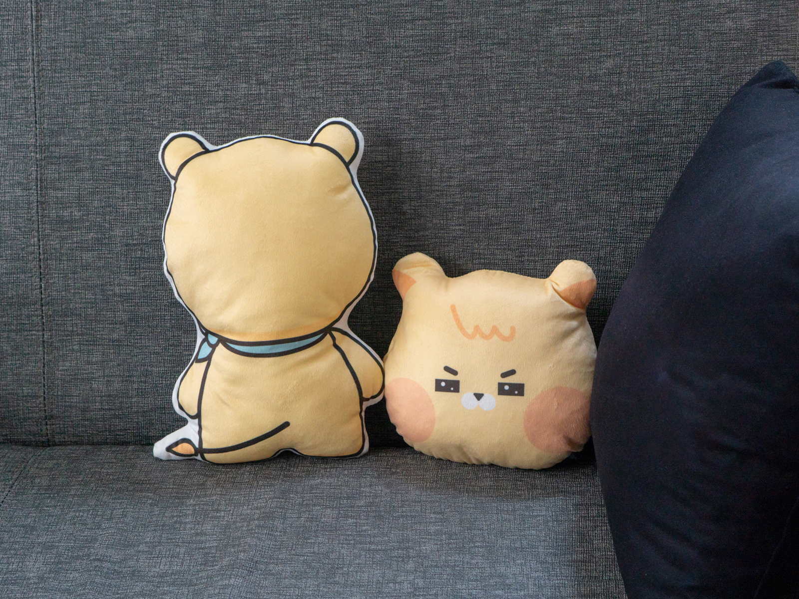 극세사 인형 모양 쿠션 (20cm 이하)