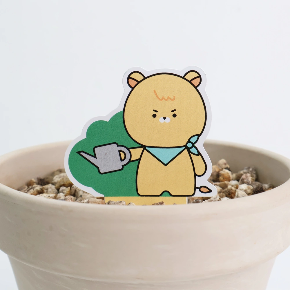 씨드 스틱