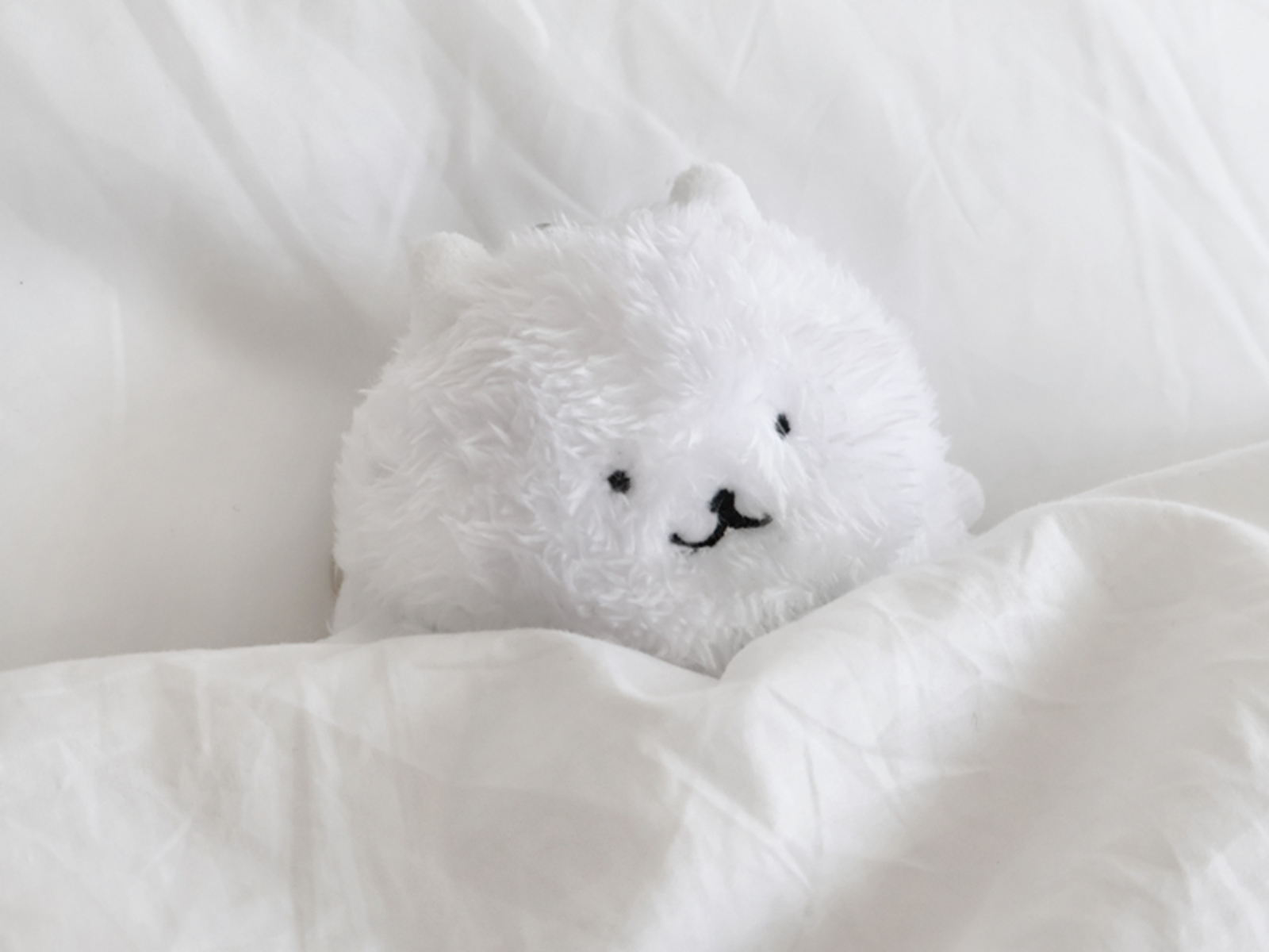 [시묘] 인형키링