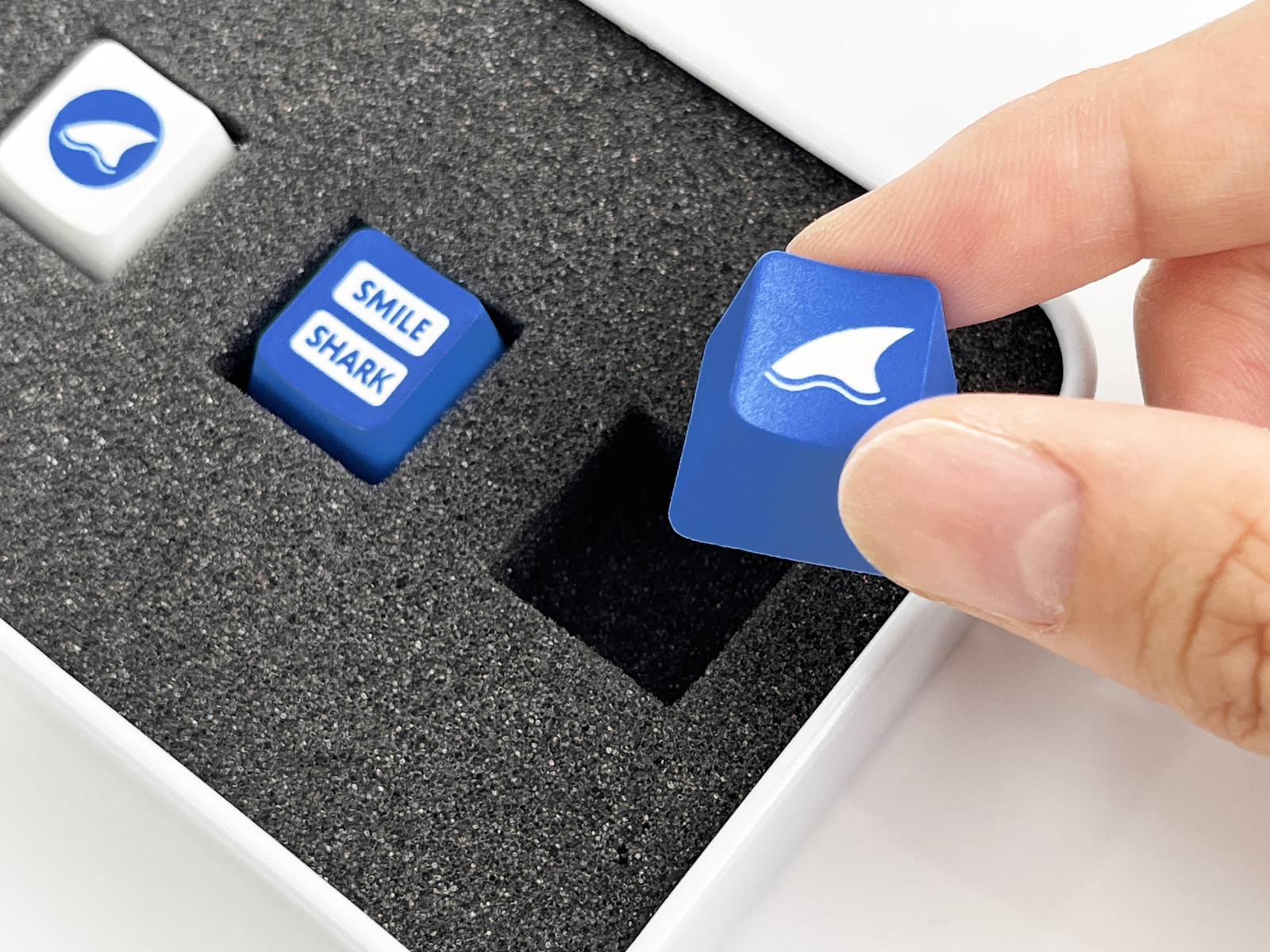 [스마일샤크] 키캡 틴케이스 세트