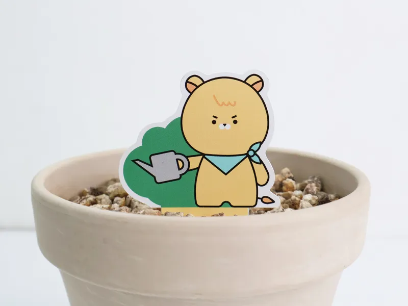 씨드 스틱